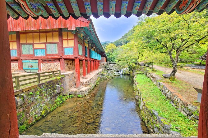 Suncheon one day tour from Seoul, Busan or Suncheon - Why this Suncheon day tour works (and who it suits)