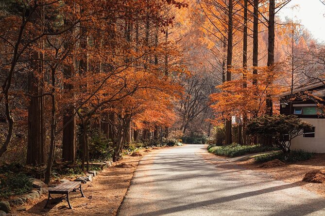 Suwon Hwaseong Fortress & Jangtaesan Full-Day Tour: Autumn Leaves - Key Things I’d Plan Around