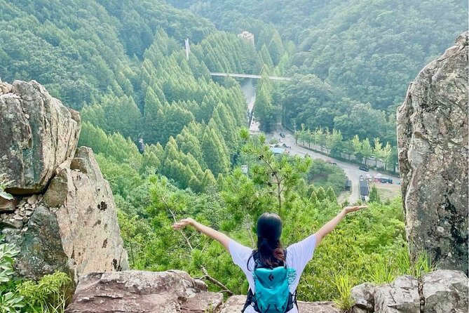 Suwon Hwaseong Fortress & Jangtaesan Full-Day Tour: Autumn Leaves - Transportation and Guide Support: What You’re Really Paying For