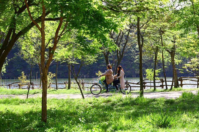 Trip to Nami Island with Petite France & Italian Village, Garden of Morning Calm - Price and value: what $78.10 covers