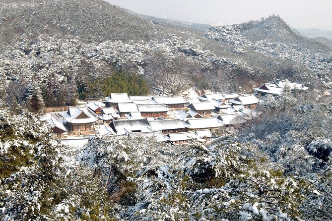 UNESCO Tongdosa Temple + Gourmet Eonyang Style Bulgogi Lunch - The private guide, and why “live commentary” actually matters