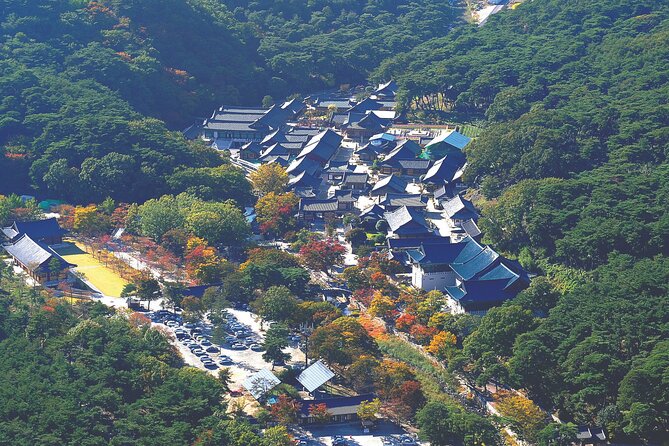 UNESCO Tongdosa Temple + Gourmet Eonyang Style Bulgogi Lunch - Comfort and logistics: the stress-free part you feel immediately