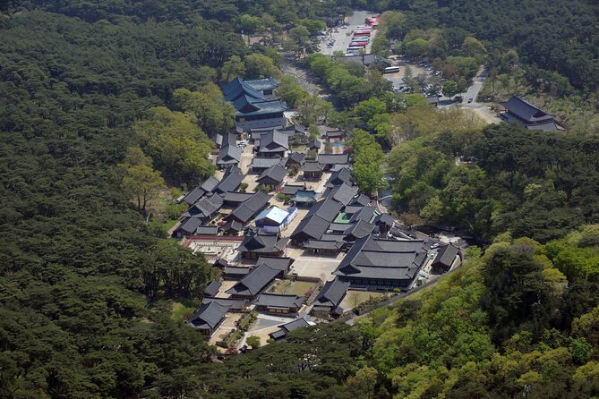 UNESCO Tongdosa Temple + Gourmet Eonyang Style Bulgogi Lunch - Value and price: what you’re really paying for
