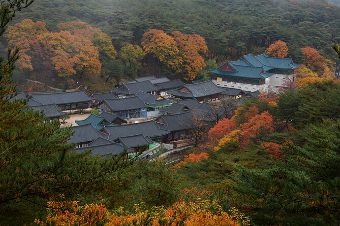 UNESCO Tongdosa Temple + Gourmet Eonyang Style Bulgogi Lunch - Who should book this tour, and who might skip it