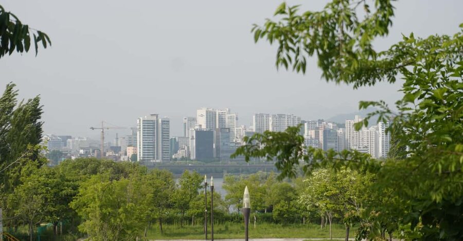 Unique Native Experience : Han River Picnic, Board game, BBQ - Key highlights to know before you go
