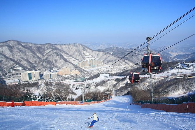 Vivaldi Park Winter Ski Resort with Nami Island Tour from Seoul - Why Pair Vivaldi Park Ski World With Nami Island?