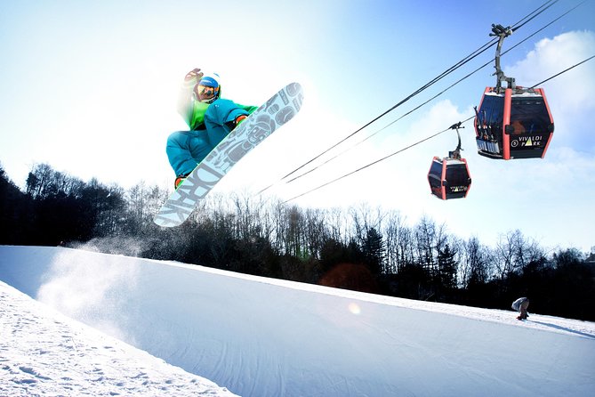 Vivaldi Park Winter Ski Resort with Nami Island Tour from Seoul - Price and Value: What You Really Get for About $33