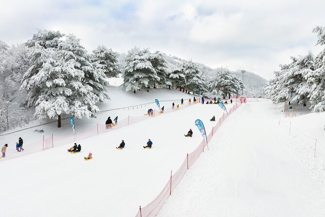 Vivaldi Park Winter Ski Resort with Nami Island Tour from Seoul - Choosing Your Package: Ski, Snowboard, Sled, or Gondola Views