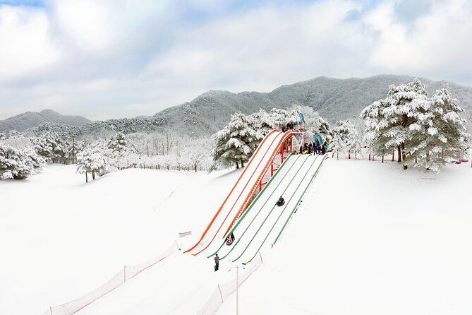 Vivaldi Park Winter Ski Resort with Nami Island Tour from Seoul - Practical Comfort Tips That Make or Break the Day