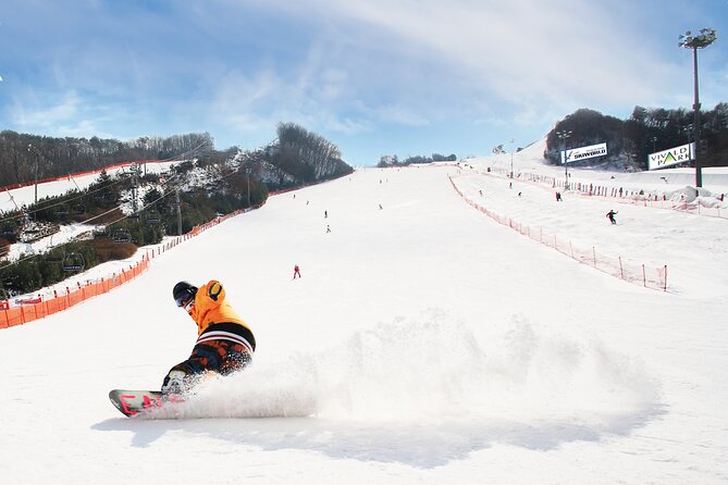 Vivaldi Park Winter Ski with Eobi Ice Valley Day Tour from Seoul - A One-Day Winter Route From Seoul