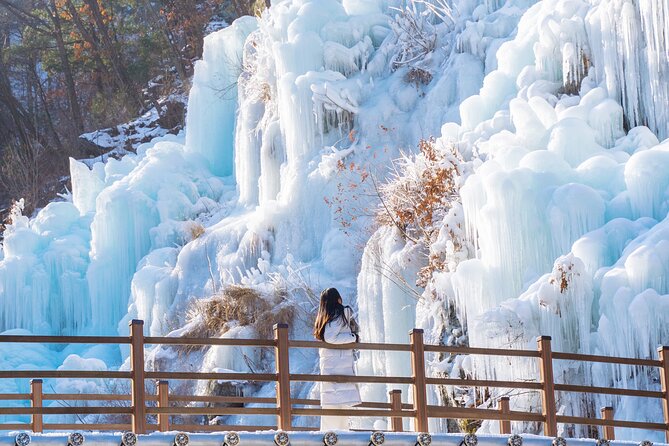 Vivaldi Park Winter Ski with Eobi Ice Valley Day Tour from Seoul - How the Day Flows With Staff, Group Size, and Waiting Time
