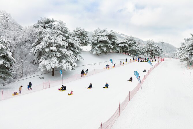 Vivaldi Park Winter Ski with Eobi Ice Valley Day Tour from Seoul - Vivaldi Park Ski World: Ski, Snowboard, Gondola, or Snowyland