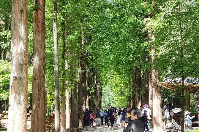 Winter Sonata TV Tour on Nami Island from Seoul - Nami Island and the Naminara Republic passport moment